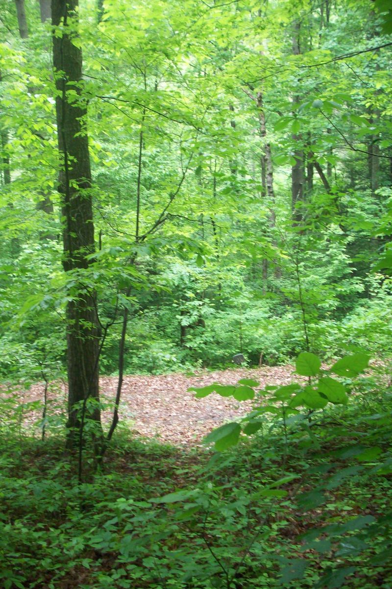 120 Springside Way, Townsend, TN 37882