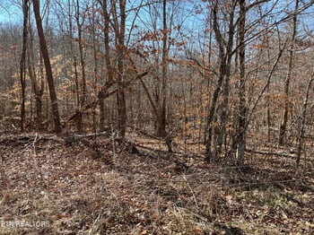 120.43 ac E O Mill Creek Rd, Sunbright, TN 37872