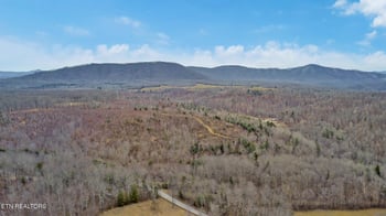 120.43 ac E O Mill Creek Rd, Sunbright, TN 37872