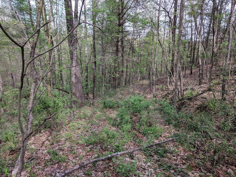 1200 Glades Rd, Sunbright, TN 37872