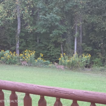 1200 Hickory Star Rd, Maynardville, TN 37807
