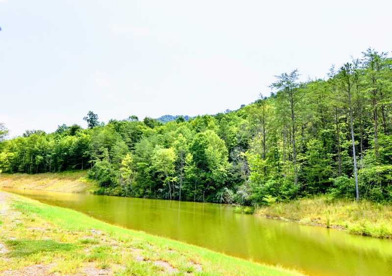 1200 Lower Jellico Rd, Winfield, TN 37892