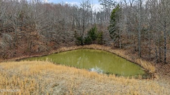 1201 Laurel Bluff Rd, Kingston, TN 37763