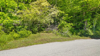 1209 E Bullrun Valley Dr, Powell, TN 37849