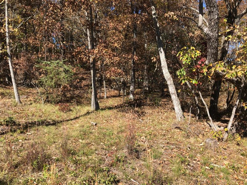 121 - 123 Sugarbush Cir, Fairfield Glade, TN 38558