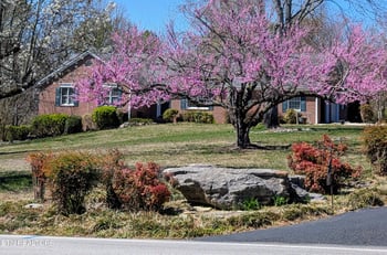 121 Bailey Rd, Kingston, TN 37763