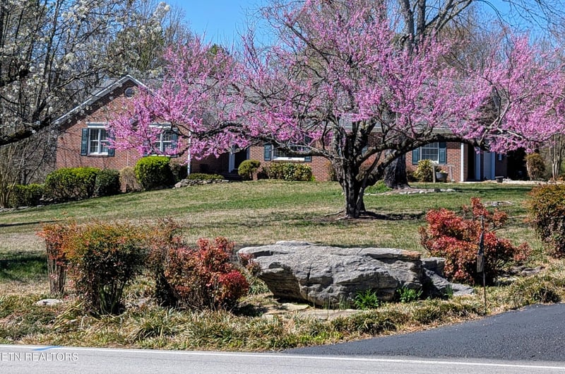 121 Bailey Rd, Kingston, TN 37763