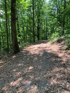 121 Caldwell Dr, Oak Ridge, TN 37830