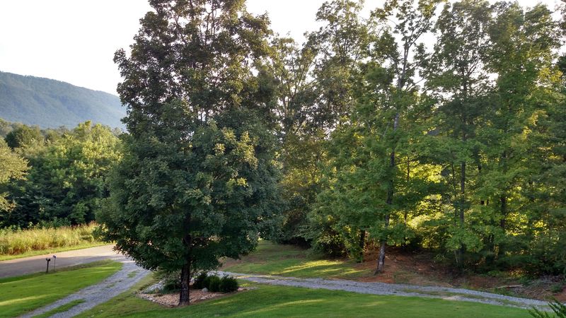 121 Co Rd 485, Englewood, TN 37329