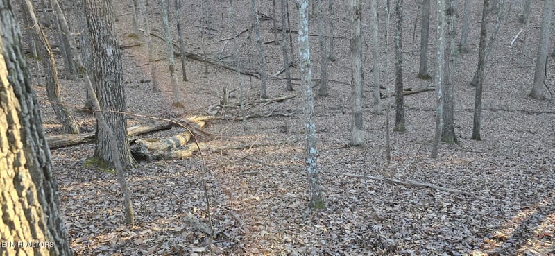 121 Pineridge Loop, Fairfield Glade, TN 38558