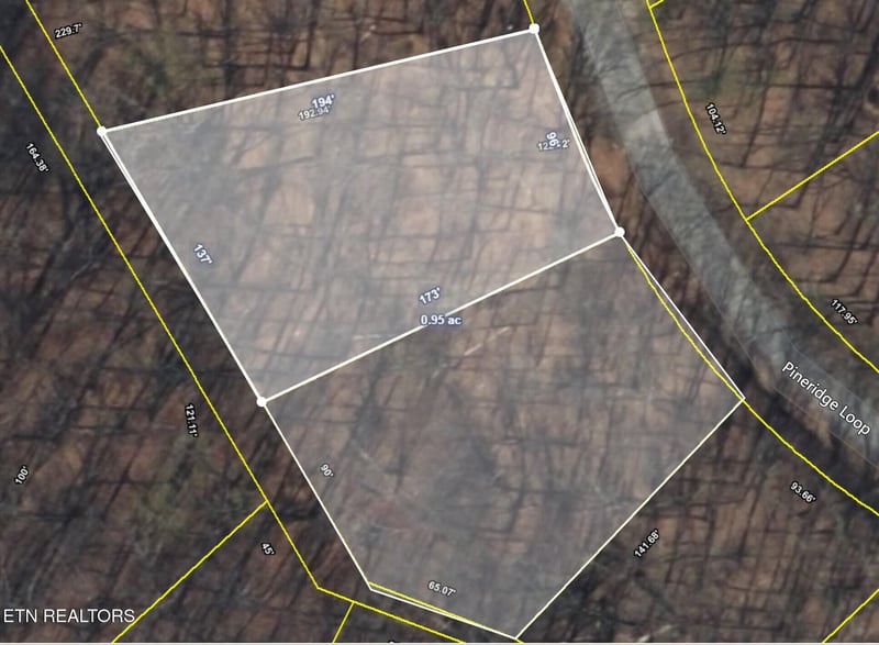 121 Pineridge Loop, Fairfield Glade, TN 38558