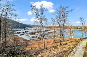 121 Pinnacle Point, Andersonville, TN 37705
