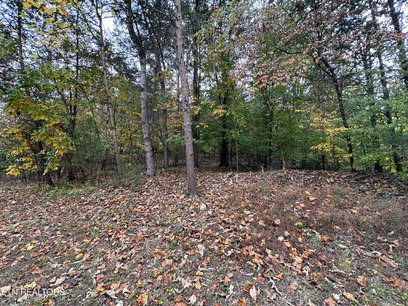 121 River Point Dr, Lenoir City, TN 37772