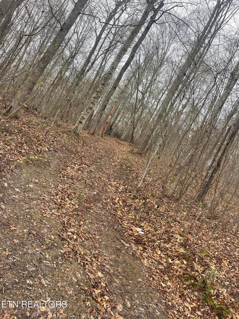 121 River Ridge Rd, Maynardville, TN 37807