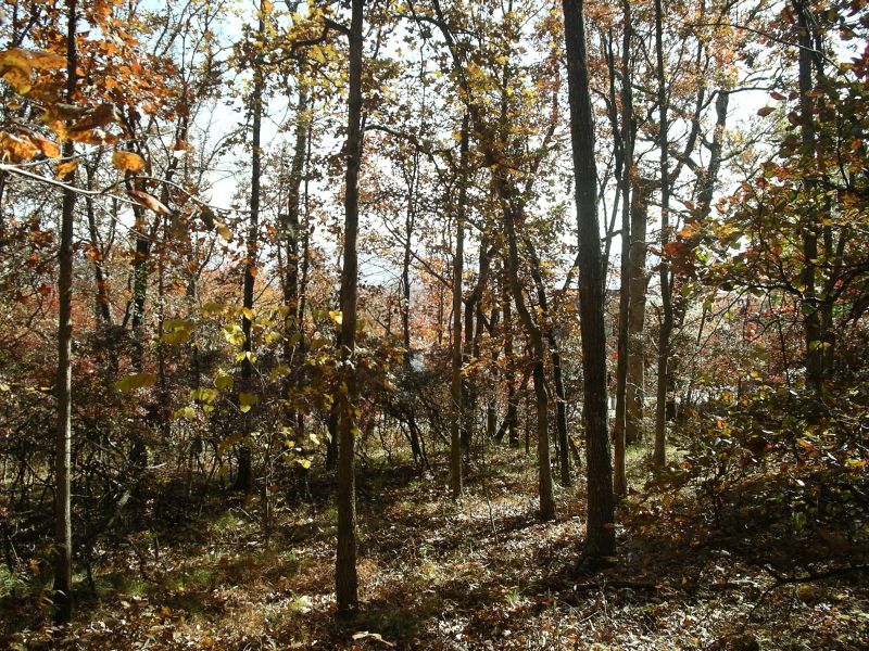121 Sugarbush Cir, Fairfield Glade, TN 38558
