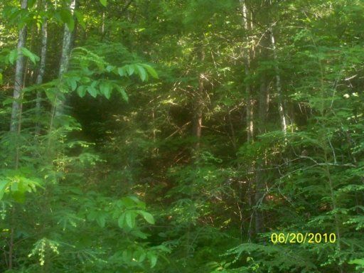 121 Sunshine Way, Townsend, TN 37882