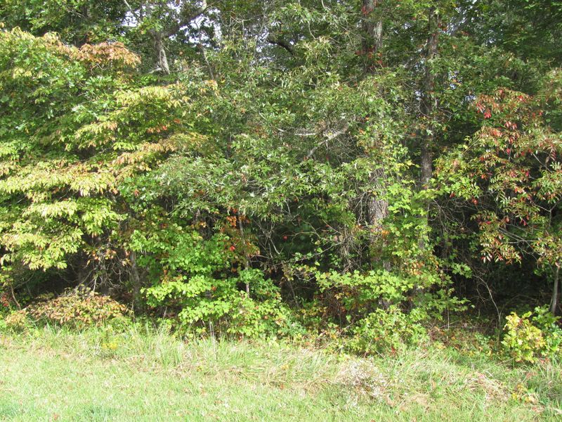 121 Windsor Rd, Fairfield Glade, TN 38558