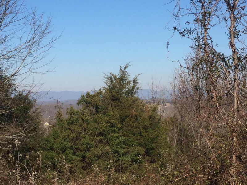12140 Hardin Valley Rd, Knoxville, TN 37932