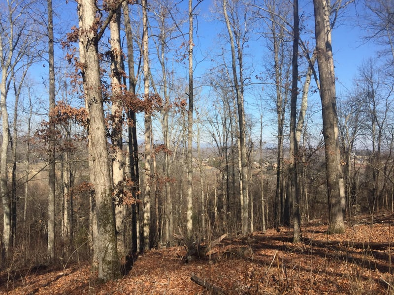 12140 Hardin Valley Rd, Knoxville, TN 37932