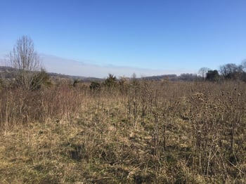 12140 Hardin Valley Rd, Knoxville, TN 37932