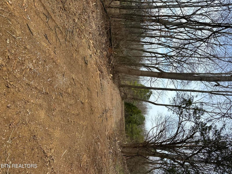 1219 Sweetwater Vonore Rd, Sweetwater, TN 37874