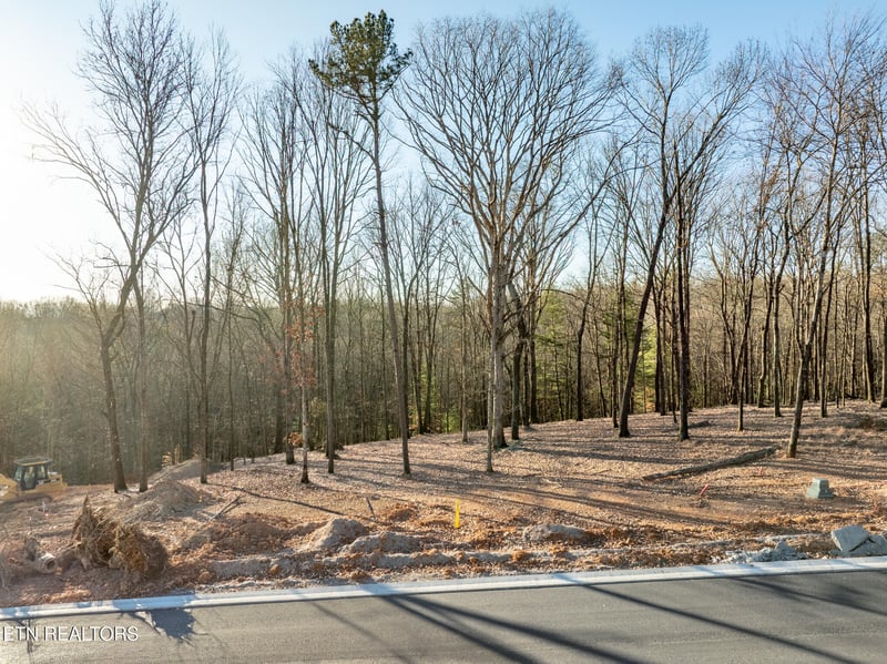 122 Fawn Ct, Loudon, TN 37774