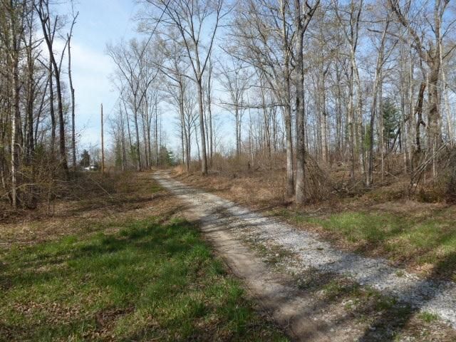122 Harmony Ln, Deer Lodge, TN 37726
