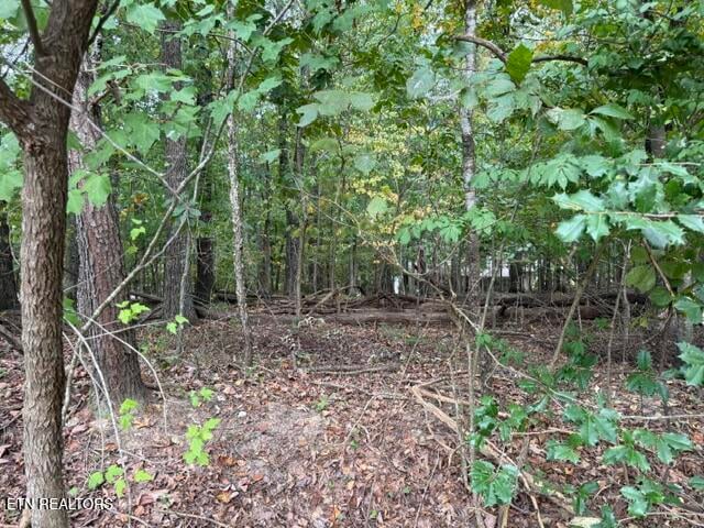 122 Ivy Ln, Fairfield Glade, TN 38558