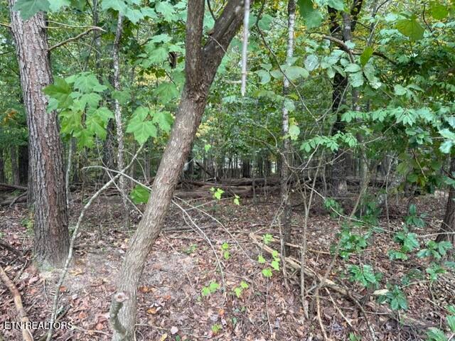 122 Ivy Ln, Fairfield Glade, TN 38558