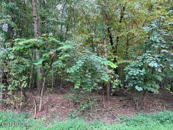 122 Ivy Ln, Fairfield Glade, TN 38558