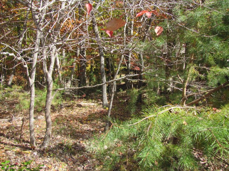 122 Markham Ln, Fairfield Glade, TN 38558