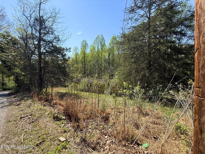 122 Nelson Ln, Jacksboro, TN 37757