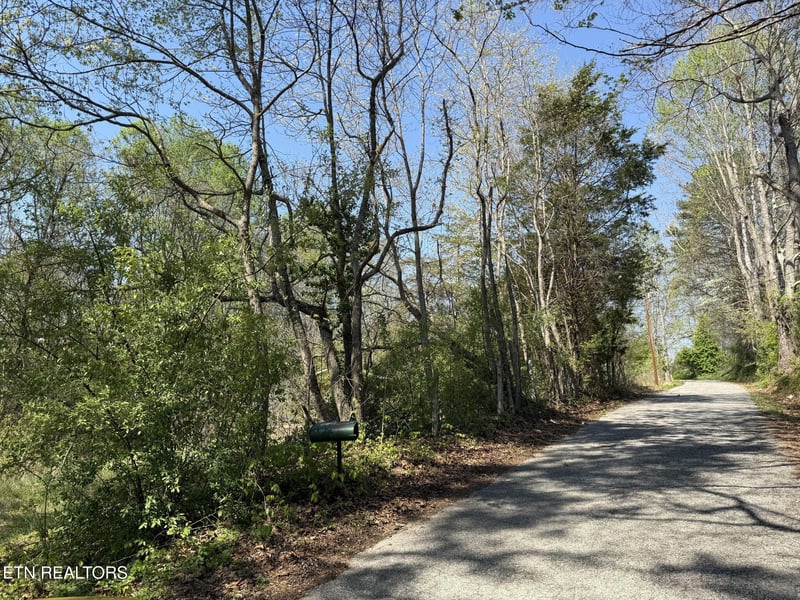 122 Nelson Ln, Jacksboro, TN 37757