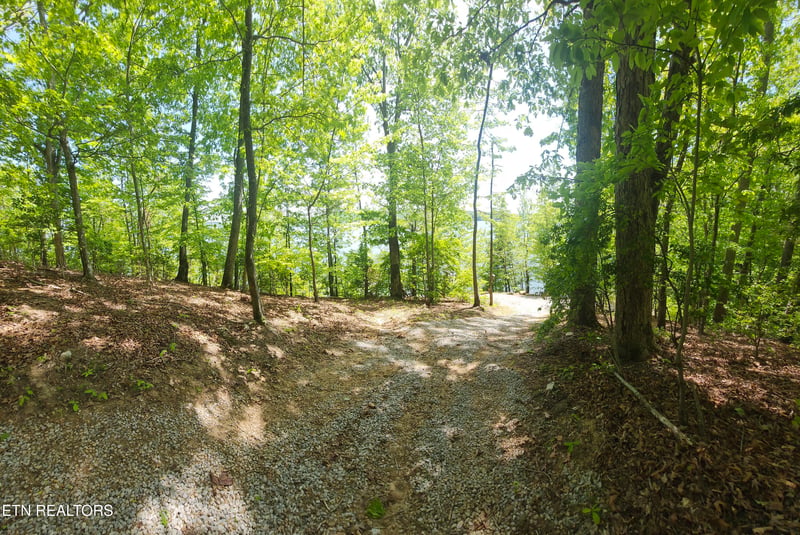 122 Thief Neck Dr, Rockwood, TN 37854
