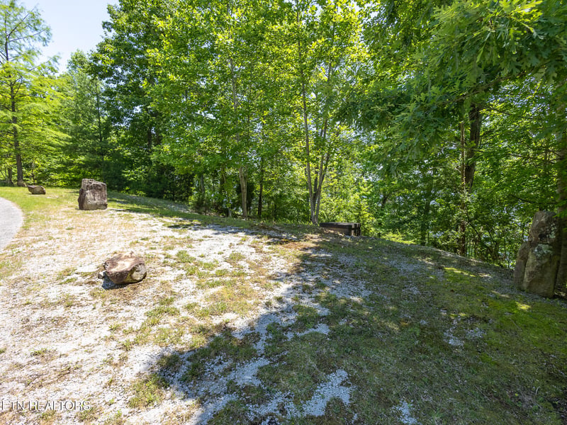 122 Thief Neck Dr, Rockwood, TN 37854