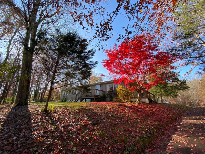 1221 Gamble Dr, Heiskell, TN 37754