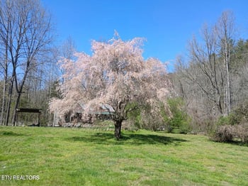 1223 Rocky Flats Rd, Cosby, TN 37722