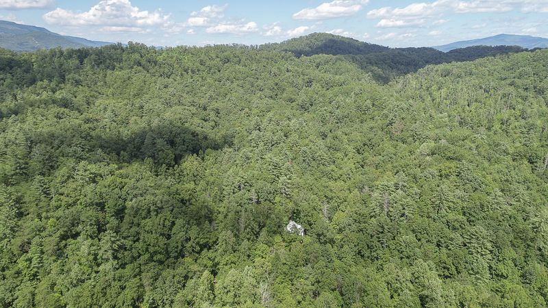 1224 Chavis Rd, Cosby, TN 37722