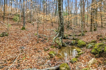 1224 State Highway 310, Englewood, TN 37329