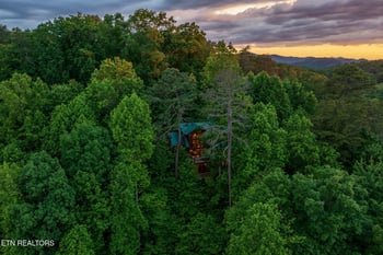 1226 Serenity Ln, Sevierville, TN 37876