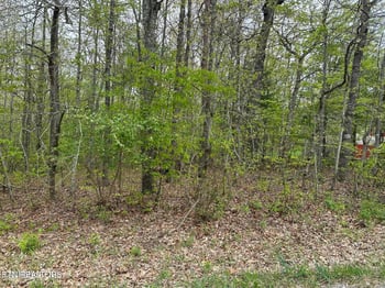 1228-1230 Natchez Tc, Crossville, TN 38572