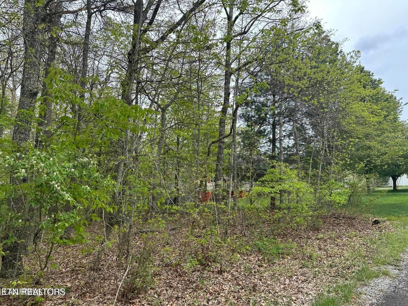 1228-1230 Natchez Tc, Crossville, TN 38572