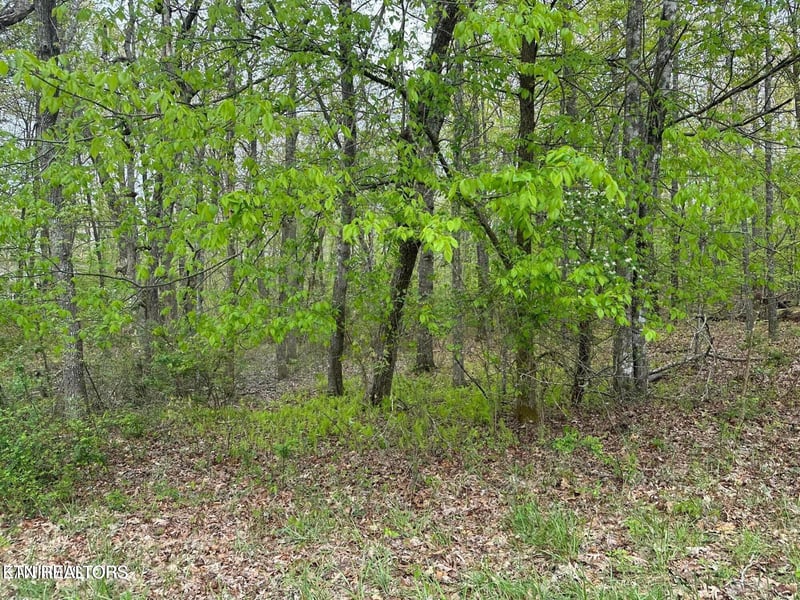 1228-1230 Natchez Tc, Crossville, TN 38572