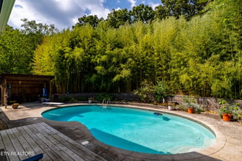 1228 Court Field Rd, Knoxville, TN 37922