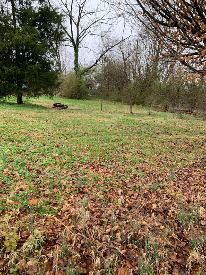 1229 E Harper Ave, Maryville, TN 37804