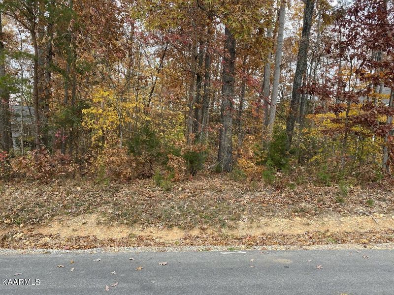 123 Chanusi Way, Loudon, TN 37774