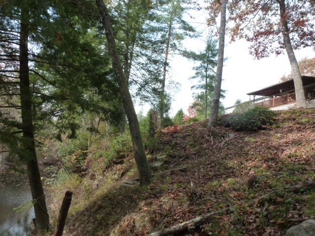 123 Doc Huling Rd, Robbins, TN 37852