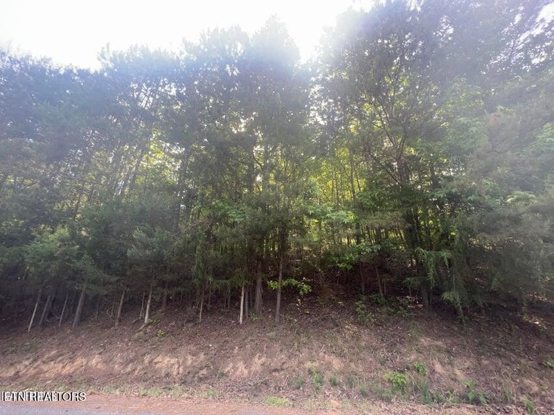 123 Hilty Head Ln, Lafollette, TN 37766