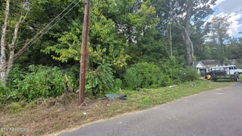 1233 Ohio Ave, Knoxville, TN 37921