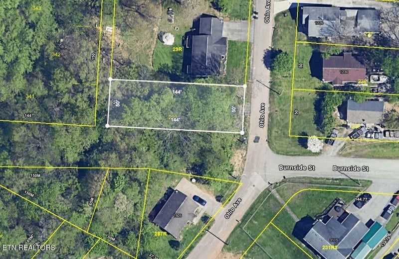 1233 Ohio Ave, Knoxville, TN 37921